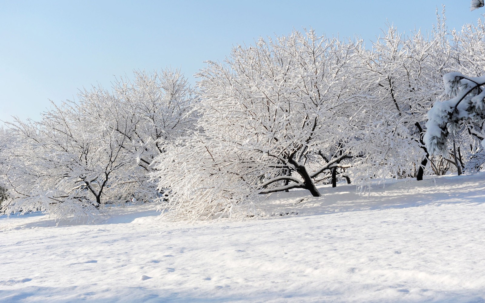 出生时下大雪民间说法 下雪天出生的孩子有什么说法