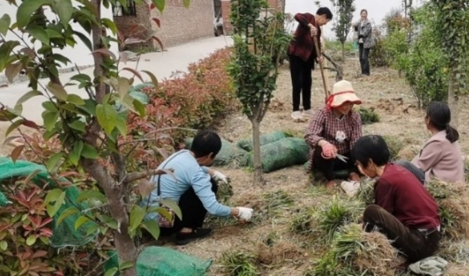 梦到栽花是什么意思 梦到栽花有什么预兆